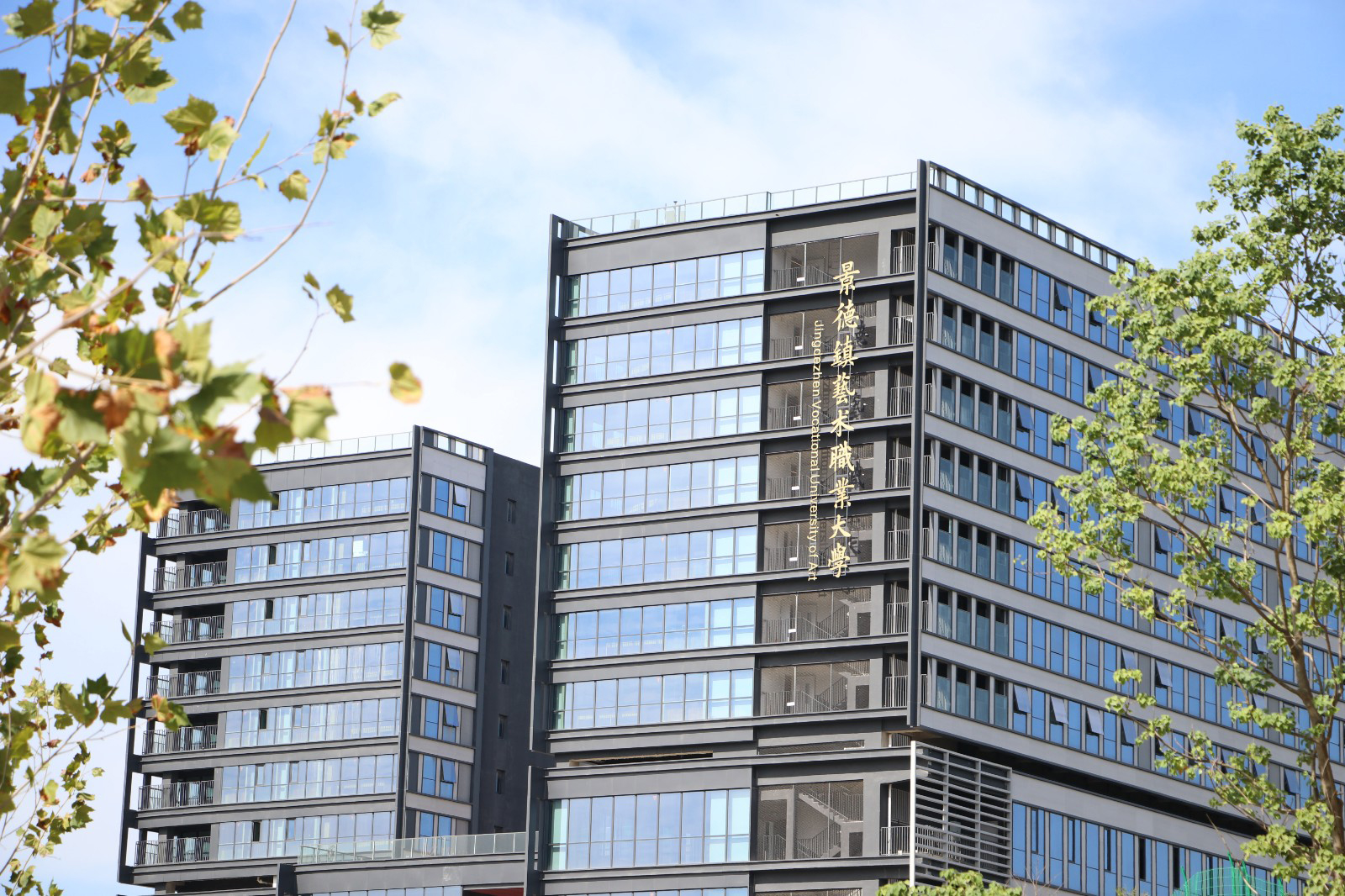 高等学历继续教育学习平台